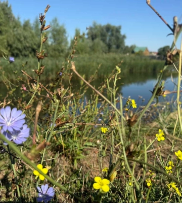У заповідних плавнях Одещини розпочався перехід до осіннього сезону 