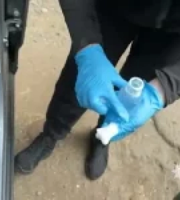 На Одещині викрили канал переправлення військовозобов’язаних до Молдови через Telegram