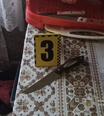 Втратив два літри крові - на Волині жінка вдарила ножем чоловіка