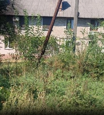 Двір заріс, а дах протікає: криворожанка скаржиться на бездіяльність керуючої компанії Дивобуд
