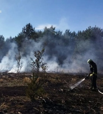 Через людську необережність у двох районах Волині горіли суха трава й чагарники
