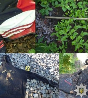 Поліція Полтавщини встановлює особу чоловіка, виявленого мертвим у Новосанжарській громаді