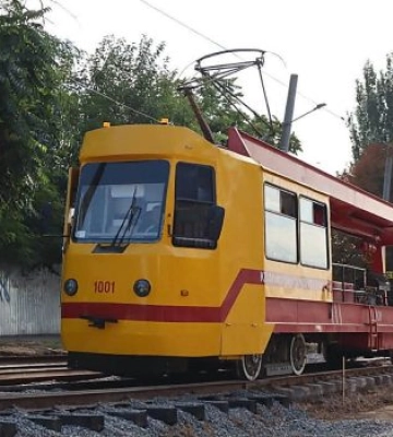 На 6-й Слобідській приберуть 22 сухі тополі