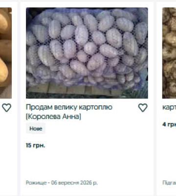Скільки коштує картопля на Волині у вересні: ціни у продавців та заготівельників