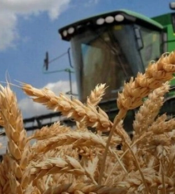 Російський дрон атакував елеватор у Миколаєві