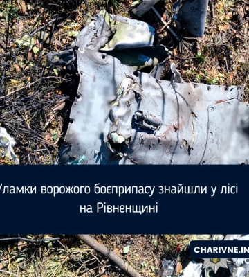 Уламки ворожого боєприпасу знайшли у лісі на Рівненщині