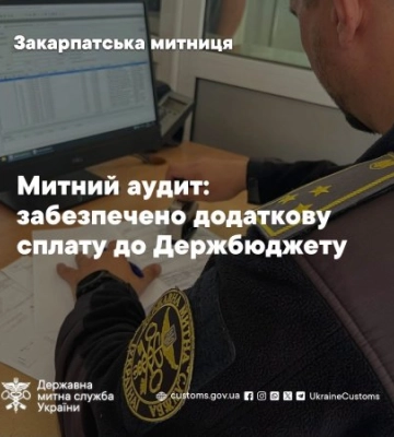 Майже 47 мільйонів могли не дійти до бюджету: закарпатські митники виявили масштабні порушення