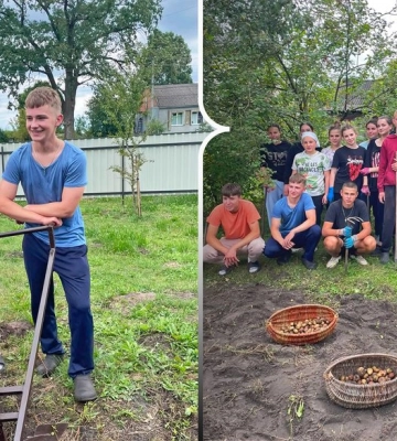 «Побачила дітей і розплакалась»: на Волині школярі зібрали врожай картоплі для матері військового