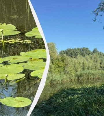 Нібито з'явиться казковий персонаж: дослідники показали, як виглядає Дністер на Одещині