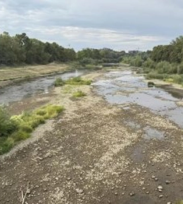 Річки Закарпаття продовжують міліти: на Ужі, Латориці та Боржаві водність падає, оголошено коричневий рівень небезпеки
