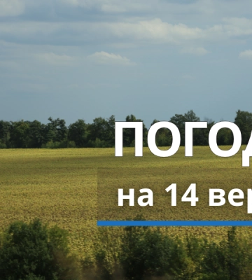 Дощ і поривчастий вітер: погода на Харківщині 14 вересня