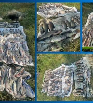 139 рибин на 220 тис. грн: на Дніпропетровщині виявили браконьєра