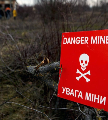 У Слатиному на Харківщині собака підірвався на російській міні: постраждав її хазяїн