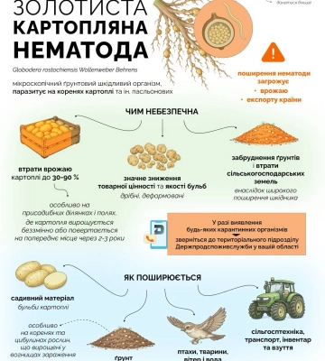 На Одещині закликають перевіряти посіви картоплі на наявність паразита 