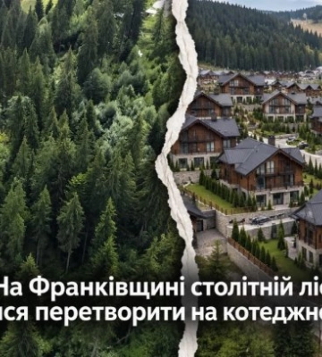 На Франківщині столітній ліс намагалися перетворити на котеджне містечко