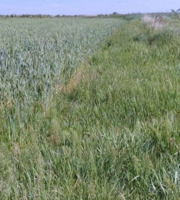 Користувалися землею майже рік і не платили: підприємство має віддати Львову 535 тисяч