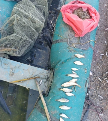 На Одещині затримали двох рибалок з уловом креветок та краснопірок 