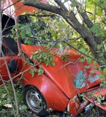 Автомобіль злетів з дороги, пасажирка та водійка опинилися на медичних ліжках