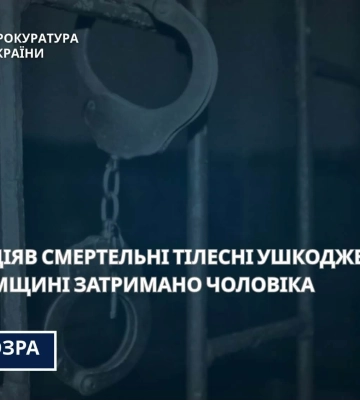 На Сумщині заґратовано чоловіка, який безжально вбив співмешканку