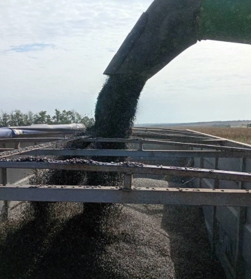Tekom Agro Group збирає соняшник із врожайністю до 26 ц/га: якої якості насіння надходить на елеватори