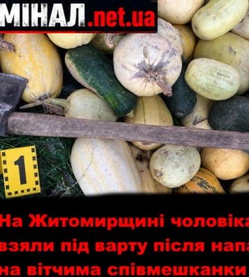 На Житомирщині чоловіка взяли під варту після нападу на вітчима співмешканки