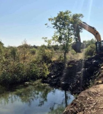 Бобри заблокували Верке: у Берегові екстрено рятували головний канал міста