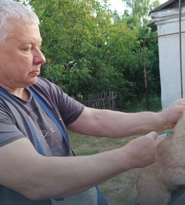 Безкоштовна вакцинація тварин на Харківщині: графік по районах