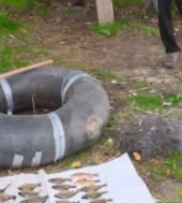 На Полтавщині браконьєр наловив риби на майже 140 тисяч гривень