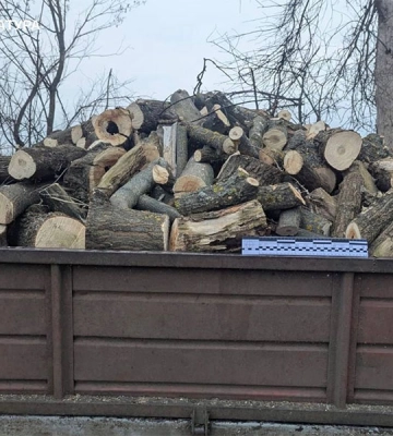 Збитки на пів мільйона: на Харківщині судитимуть чоловіка за незаконну порубку