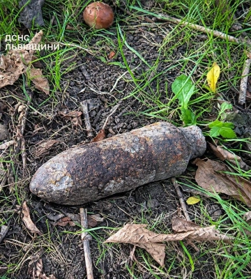 У львівському парку жінка знайшла застарілий боєприпас