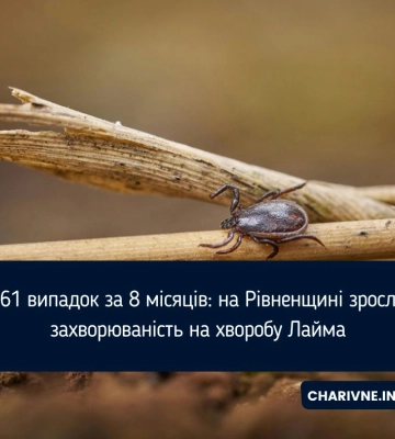 161 випадок за 8 місяців: на Рівненщині зросла захворюваність на хворобу Лайма