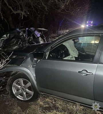 Водію Toyota за загибель двох людей дали умовний термін