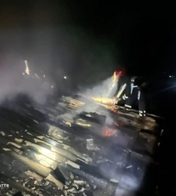 Вогонь уже охопив дах і міг перекинутися на будинок: на Берегівщині вночі горів хлів