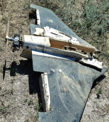 На Одещині планують створити меморіал загиблим від війни дельфінам 