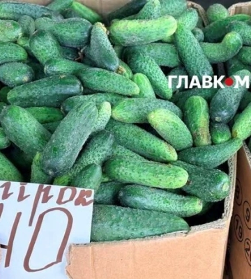 Де у Києві проходитимуть продуктові ярмарки 19-20 вересня (адреси)