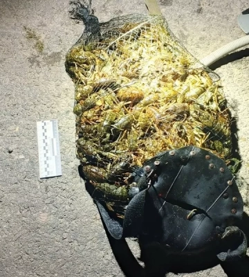 На Миколаївщині викрили браконьєра з аквалангом, який незаконно виловив 182 раків