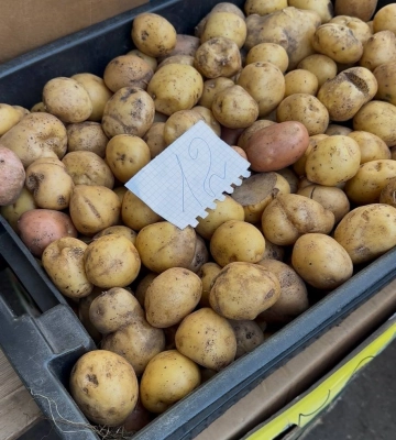 Хитрий ринок у Полтаві: скільки коштують овочі, фрукти та домашні продукти