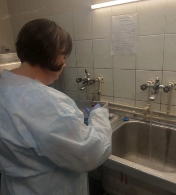 Що насправді діється у школах Закарпаття: раптові ревізії та прихована небезпека для дітей