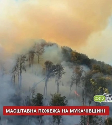 Стрімке поширення вогню під загрозою водозабору: у Мукачівському районі вирує масштабна лісова пожежа