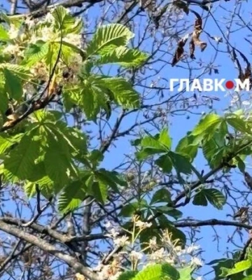 Якість повітря у Києві 21 вересня 2026 року: актуальні показники по районах