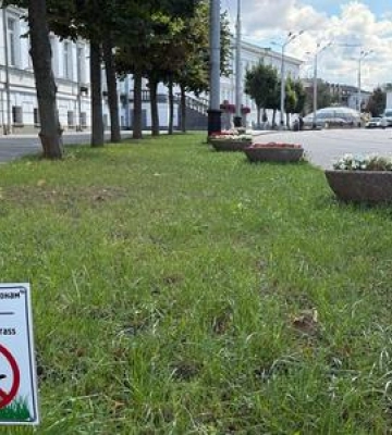 Вересень Квіти Полтава