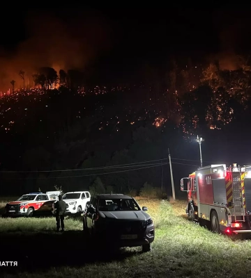 На Мукачівщині триває ліквідація лісової пожежі