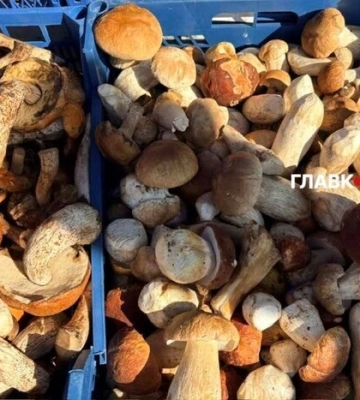 У Києві 22-27 вересня відбудуться продуктові ярмарки: адреси